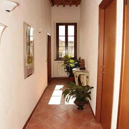 Il Sogno * Nozzano Castello